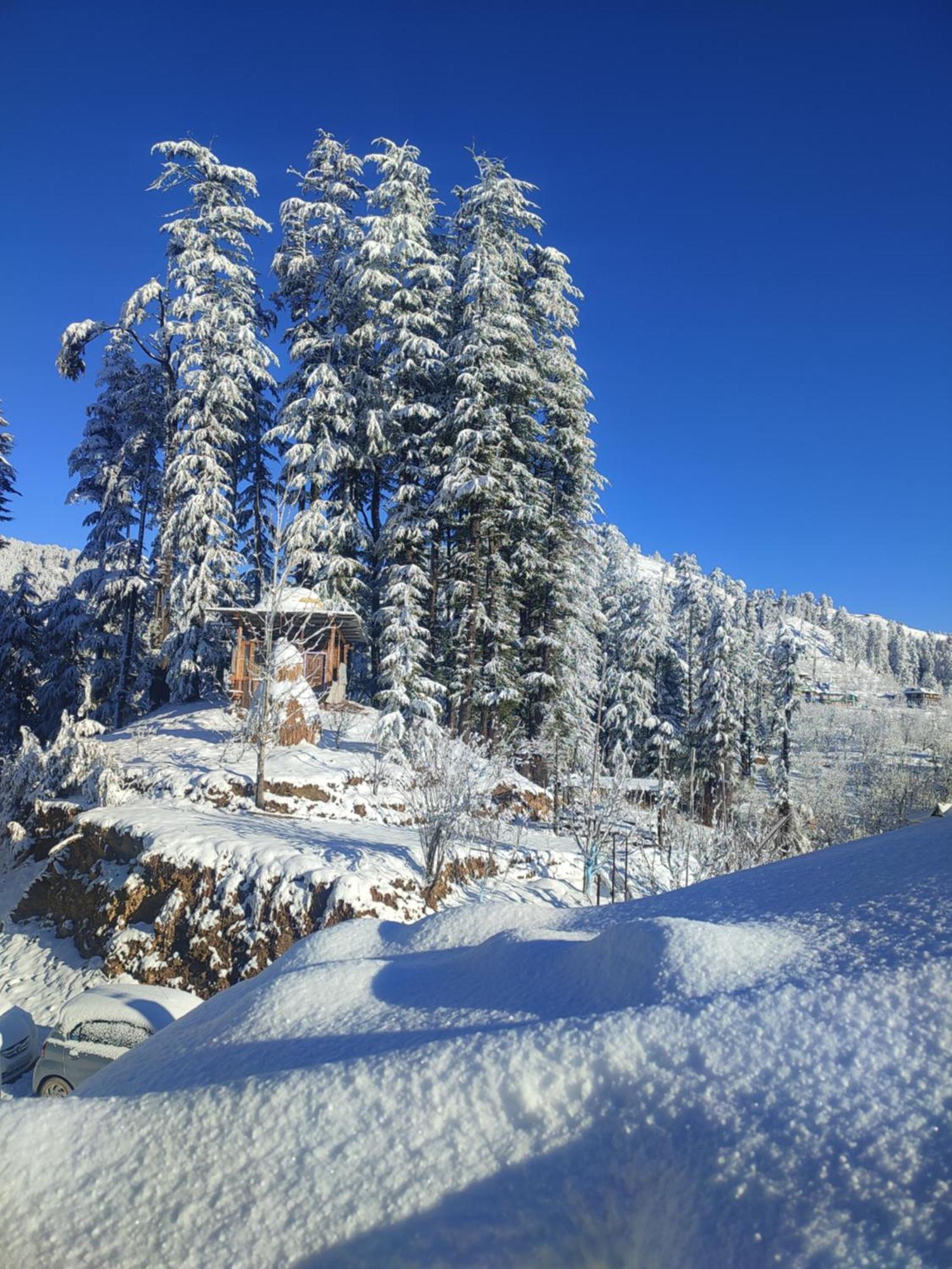 Norvin Homes Shimla Exterior foto